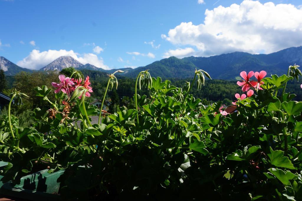 Haus Peter Bed & Breakfast Latschach ober dem Faakersee Luaran gambar